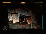 FFII_viewfinder_Woman_in_Box
