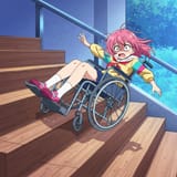 wheelchair (1)