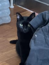 1701235716