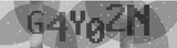 g4y