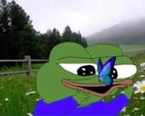 521