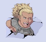 Enter the Vaike!