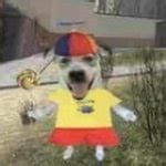 dog-happy