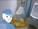175236655913554801