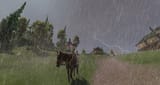rain