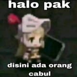 1753021881164