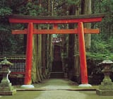 Torii-entrance-shrine-Shinto-Mount-Hakone-Honshu