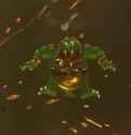 kkr4_thumb.jpg