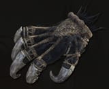 claw