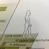 1686418467734761