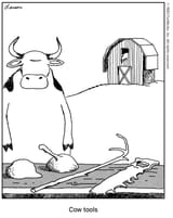 cow