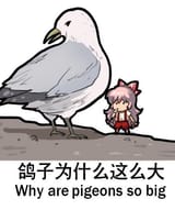 1725798510599002