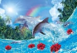 dolphin
