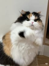 1724773309229827