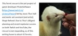 ferret rescue