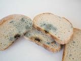 what-happens-if-you-eat-moldy-bread
