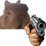 1628016017453
