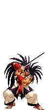 hao-toss