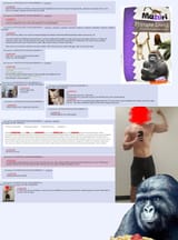 gorilla diet