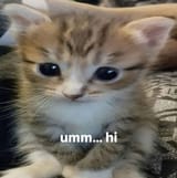 1753140279563