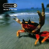 the-prodigy-the-fat-of-the-land-vinyl-1100x1100-757454792