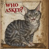 who asked befc0cb76f5ee19b5abe120039d017a5a09de497b5c1c315bc5fbd7a52edc03c