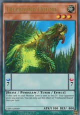 TreeboundHound-UUUU-EN-UR-1E