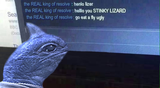 1720919892642072