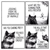 apex predator