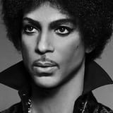 prince-artistlanding_0