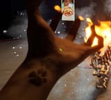 Zoophile tat