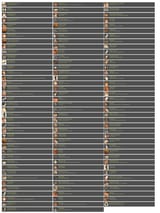 Fap Achievements
