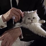 Blofeld_(Dawson-Pohlmann)_-_Profile