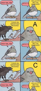 17527584813897