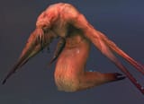 MingXiaoDemon