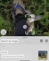1747549703209179