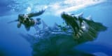 monster-hunter-tri-underwater-combat