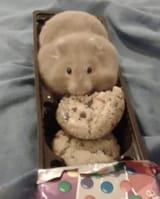 hamster cookie
