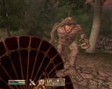 Oblivion 2006-04-11 17-24-55-78