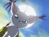 gatomon