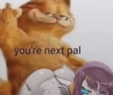 00012-4210403266