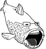 wojak-fish
