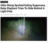 Sneaky