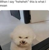 1751473359049694