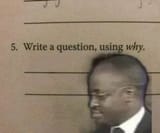 write a question using why