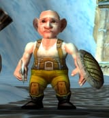 gnome fella