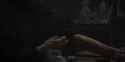 Ressurection_thumb.jpg