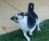 1318361091501