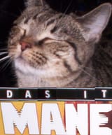 cat28