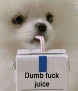 dumfuck
